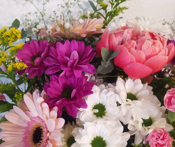 Ramos de margaritas, gerberas y peonias de la floristería crisálida en Elche.